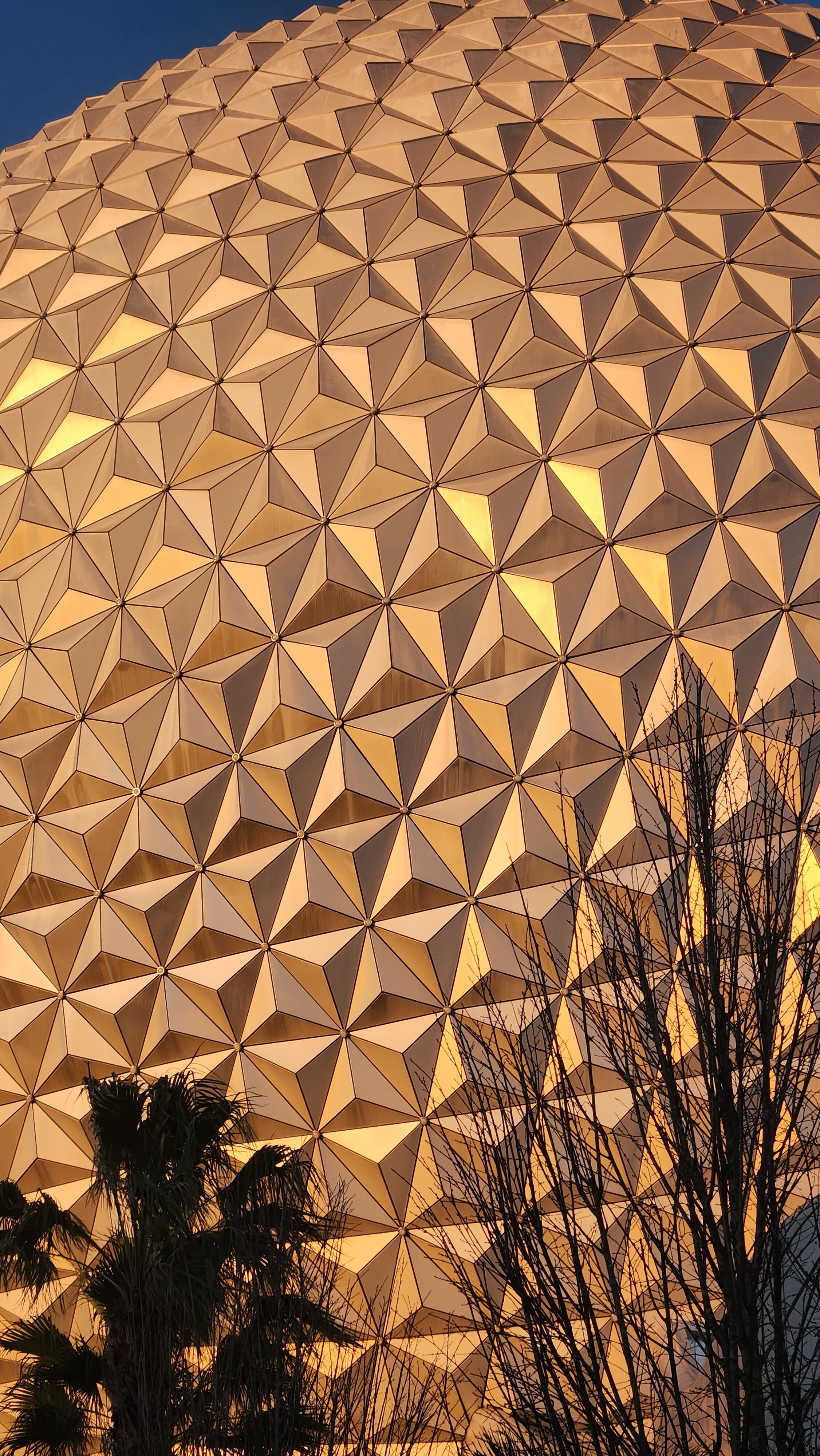 Geodesic sphere facade glowing at sunset with palm tree silhouettes